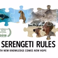 Documentary THE SERENGETI RULES to Premiere on Nature on PBS This October