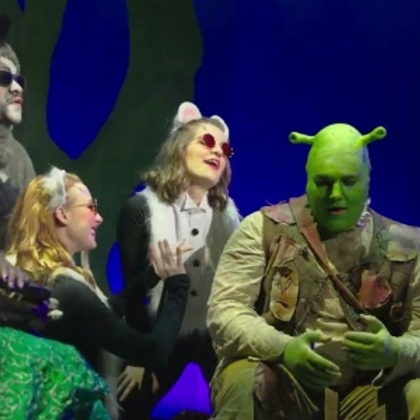 Video: SHREK - THE MUSICAL at Princess of Wales Theatre - Broadway Theater Video