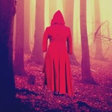 UCPAC Heads INTO THE WOODS Starting 9/6