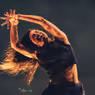 Compagnie Hervé Koubi to Perform SOL INVICTUS at Montclair State University