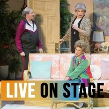Video: GOLDEN GIRLS: THE LAUGHS CONTINUE Is Coming to the Appell Center