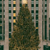 Best of NYC Christmas Concerts and Cabaret Shows - 2025