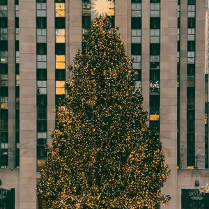 Best of NYC Christmas Concerts and Cabaret Shows - 2025