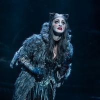 BWW Review: CATS is PAWSitively PURRfect at Dallas Summer Musicals