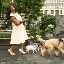 Sherri Shepherd's Daytime Talk Show Returns for Season 4 This Month