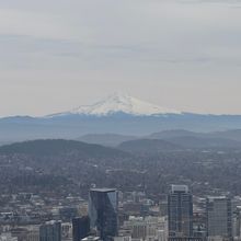 Student Blog: Endings and Beginnings