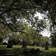 Prime Stage Theatre to Present 2nd Annual Cemetery Walk at Homewood Cemetery