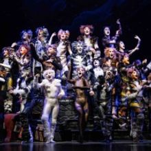 CATS Returns To Philadelphia By Popular Demand March 14 – 19 On The Kimmel Cultural