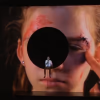 BWW Review: Daniel Fish's WHITE NOISE Experiments with Adaptation