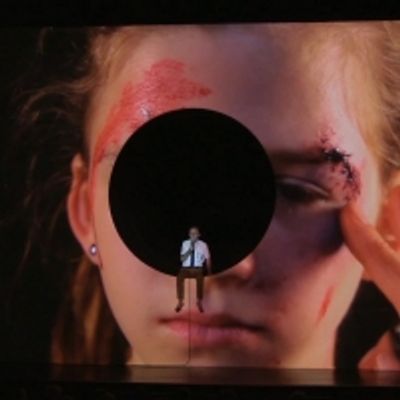 BWW Review: Daniel Fish's WHITE NOISE Experiments with Adaptation