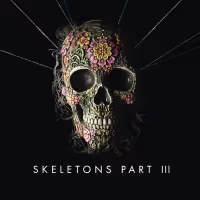 Genre-Blending Duo Missio Release 'Skeletons III' EP