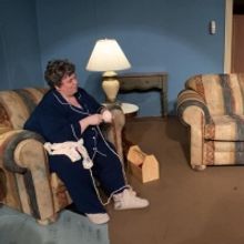 BWW Review: 'NIGHT, MOTHER at Ankeny Community Theatre: Tackling a Difficult Topic