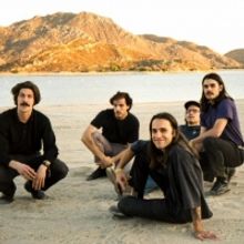Post Animal Share Single 'Safe or Not'