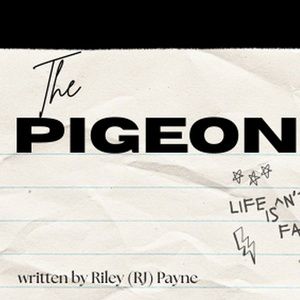 New Play By Riley (RJ) Payne THE PIGEON To Debut At The Tank