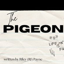 New Play By Riley (RJ) Payne THE PIGEON To Debut At The Tank