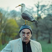 EDINBURGH 2026 Review: NESTING, Summerhall