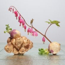 Special Special Presents Benjamin Langford's LATE SUMMER