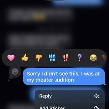 Student Blog: To Audition or not to Audition, that is the question.