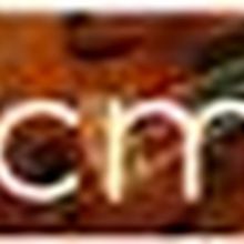 The Chamber Music Society of Detroit Presents The Verona Quartet Live This Weekend