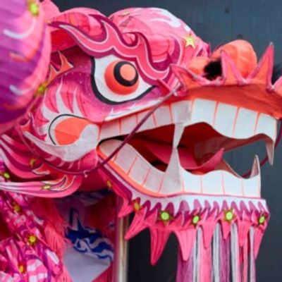Melbourne Symphony Orchestra Will Perform Chinese New Year Concert