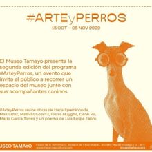 El Museo Tamayo Presenta La Segunda Edición Del Programa #ArteyPerros