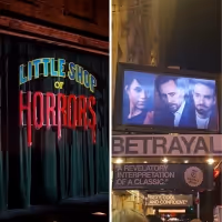 BWW Blog: The Privilege of Stage Dooring