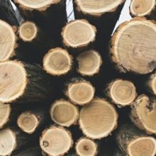 Why Sky-High Lumber Prices are a Big Deal