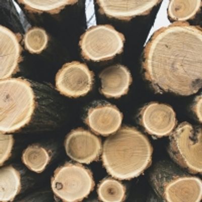 Student Blog: Why Sky-High Lumber Prices are a Big Deal