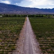 GRAFFIGNA MALBEC 2018-An Argentine Wine to Know About