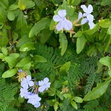 Student Blog: Spring is Here!