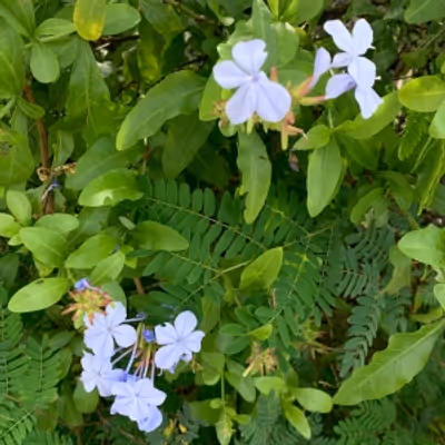 Student Blog: Spring is Here!