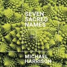 Michael Harrison Releases 'Seven Sacred Names'