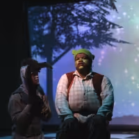 Review: SHREK! THE MUSICAL at Murry's Dinner Playhouse is Fun for The Entire Family