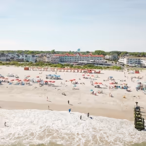 HARRY'S OCEAN BAR & GRILL and THE MONTREAL BEACH RESORT Announce Upcoming Events