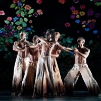 Ailey Closes 2019-2020 New York City Center Engagement With New Year's Eve…