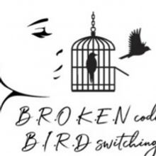 B.R.O.K.E.N CODE B.I.R.D SWITCHING Will Have Limited Workshop Engagement Through Nove