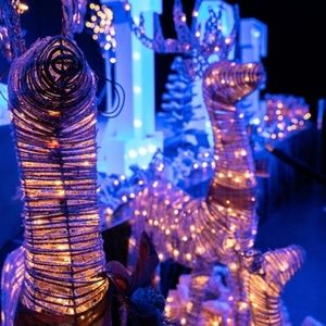 Next Weekend Productions, Inc. to Present CHOCOLATE CHRISTMAS WONDERLAND