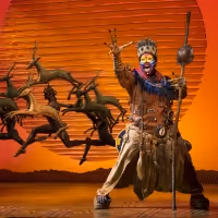 THE LION KING, DEAR EVAN HANSEN and More to be Presented in Broadway at the Bass…