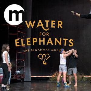 Video: Watch the Acro Call for WATER FOR ELEPHANTS in Toronto