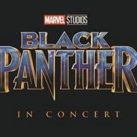 BLACK PANTHER IN CONCERT Announced at Walmart AMP, April 15 Interview
