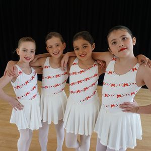 North Shore Civic Ballet Will Launch Its Holiday Auction On November 16