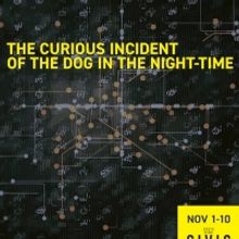 THE CURIOUS INCIDENT OF THE DOG IN THE NIGHT-TIME Premieres November 1 At South Bend 