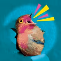 Pearl Sun, Kristine Nielsen & More to Star in REGRETFULLY, SO THE BIRDS ARE World…