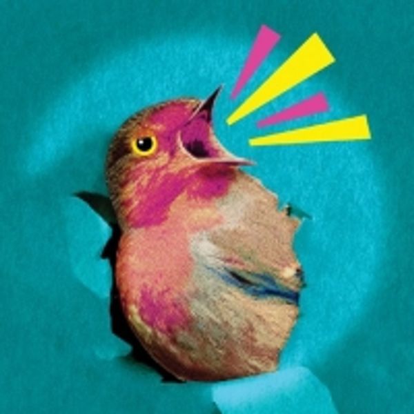 Pearl Sun, Kristine Nielsen & More to Star in REGRETFULLY, SO THE BIRDS ARE World Pre Photo
