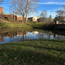 Student Blog: Back to School
