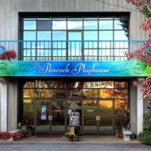 Learn More About the Peacock Performing Arts Center in Hayesville!