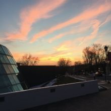 BWW Blog: Introducing Me! - Marissa Tomeo