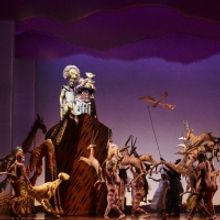 Stage Entertainment convoca audiciones para EL REY LEÓN