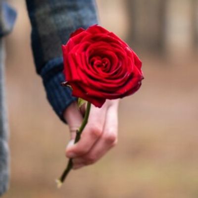 ROMEO AND JULIET to Open Madison Shakespeare Company's Third Season