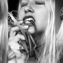 SLAUGHTERHOUSE Comes to Belvoir Street Theatre